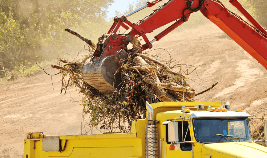 Land Clearing